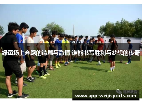 绿茵场上奔跑的诗篇与激情 谁能书写胜利与梦想的传奇