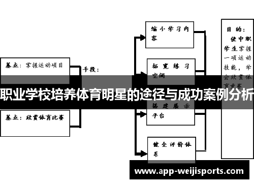 职业学校培养体育明星的途径与成功案例分析